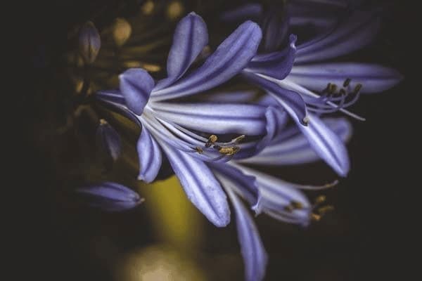 生辰八字正確寫法范本（生辰八字正確寫法范本大全）